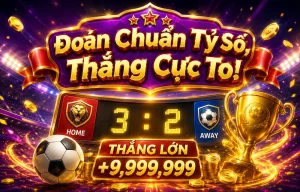 piorkowskilaw Thể Thao